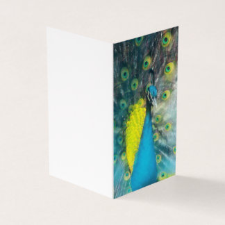 Dazling Peacock – ギフト空白のラベルセット