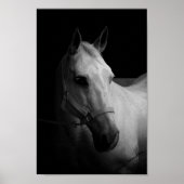 Dazzle ポスター (正面)