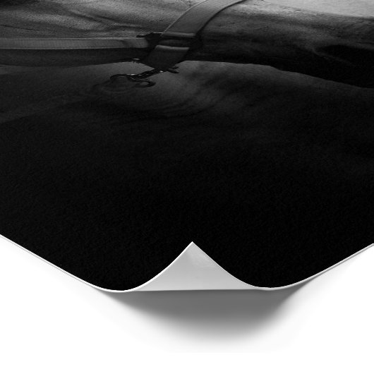 Dazzle ポスター (角)