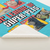 DCペットすごい連盟キャラクターパネル シェルパブランケット (3/4)