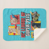 DCペットすごい連盟キャラクターパネル シェルパブランケット (正面(横))