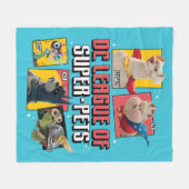 DCペットすごい連盟キャラクターパネル フリースブランケット (正面(横))
