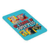 DCペットすごい連盟キャラクターパネル マグネット (右側)