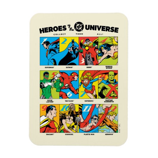 DC™ユニバースのヒーローたち マグネット (縦)