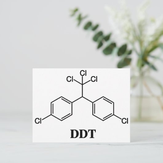 DDTアイテム ポストカード (スタンド正面)