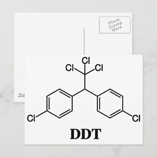 DDTアイテム ポストカード (正面/裏面)