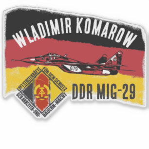 DDT MIG 29 シール