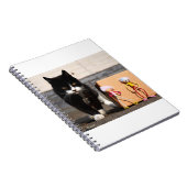 De Fubby's verstoppen zich voor de kat Ping. ノートブック (右側)