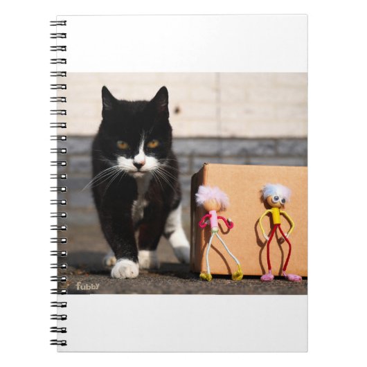 De Fubby's verstoppen zich voor de kat Ping. ノートブック (正面)