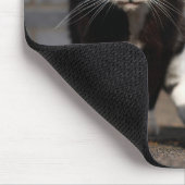 De Fubby's verstoppen zich voor de kat Ping. マウスパッド (コーナー)