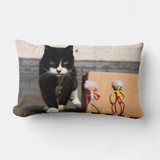 De Fubby's verstoppen zich voor de kat Ping. ランバークッション (正面)