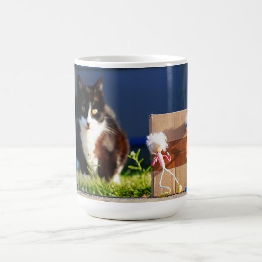 De Fubby's verstoppertje spelen met Kat Ping. コーヒーマグカップ (中央)