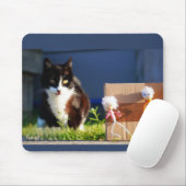 De Fubby's verstoppertje spelen met Kat Ping. マウスパッド (マウス)