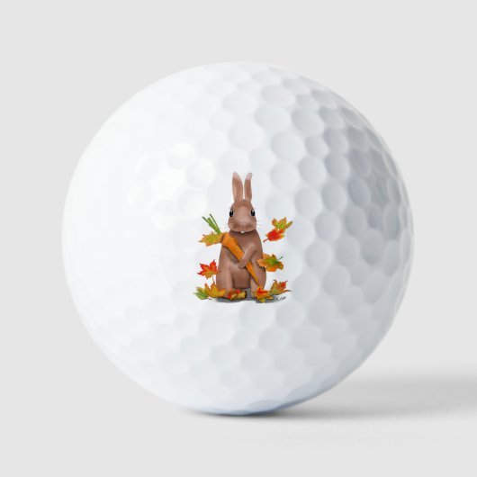 DE Golfball Hase im Herbst ゴルフボール (正面)