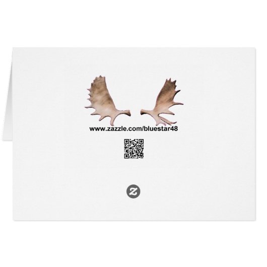 De Havilland Beaver Floatplane -アラスカ (裏面横)