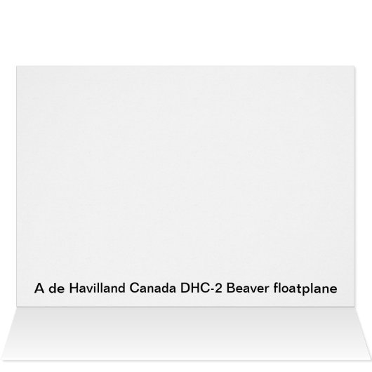 De Havilland Beaver Floatplane -アラスカ (内部横(上))