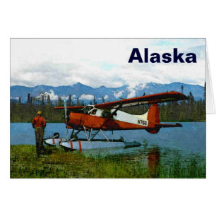 De Havilland Beaver Floatplane -アラスカ