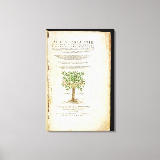 De Historia Stirpium Commentariiのタイトルページ キャンバスプリント (正面)