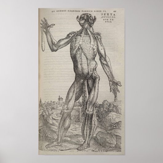 De Humani Corporis ポスター (正面)