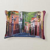 De Sollano Street、サン・ミゲルDeアジェンデ アクセントクッション (裏面)