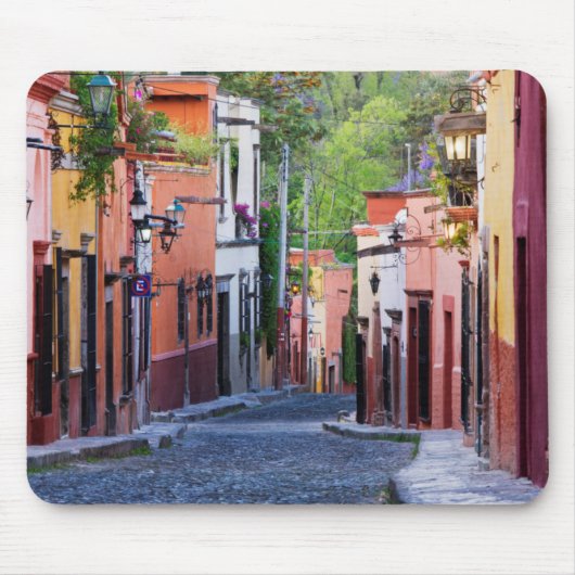 De Sollano Street、サン・ミゲルDeアジェンデ マウスパッド (正面)