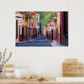 De Sollano Street, San Miguel De Allende ポスター (キッチン)