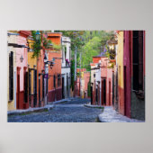 De Sollano Street, San Miguel De Allende ポスター (正面)
