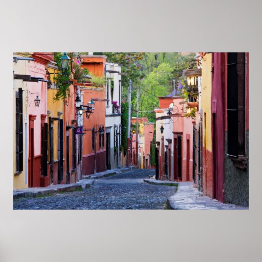 De Sollano Street, San Miguel De Allende ポスター (正面)