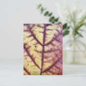 Dead Leafテクスチャポストカード ポストカード (スタンド正面)