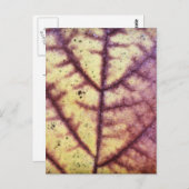 Dead Leafテクスチャポストカード ポストカード (正面/裏面)