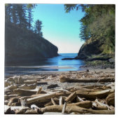 Dead Man's Cove, Cape Missed, WA タイル (正面)