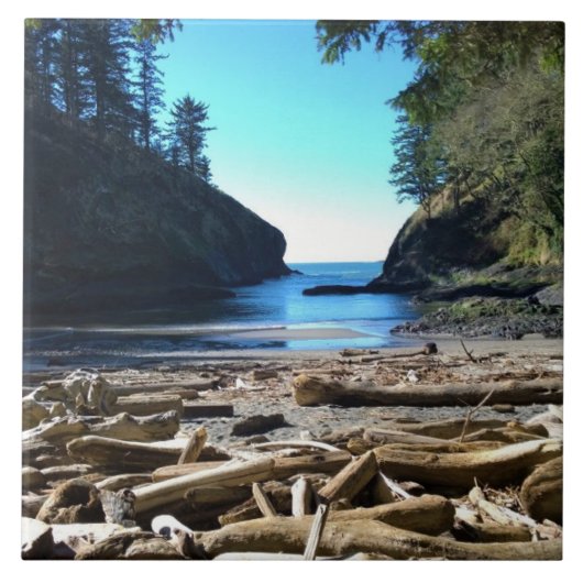 Dead Man's Cove, Cape Missed, WA タイル (正面)