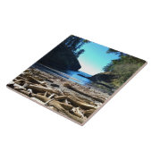 Dead Man's Cove, Cape Missed, WA タイル (側面)