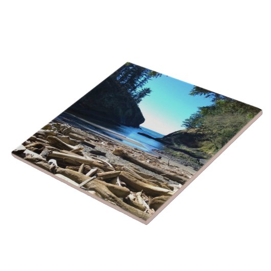 Dead Man's Cove, Cape Missed, WA タイル (側面)