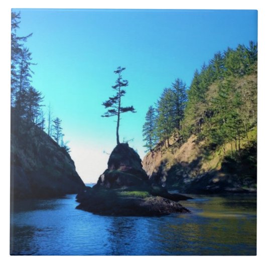 Dead Man's Cove, Cape Missed, WA タイル (正面)