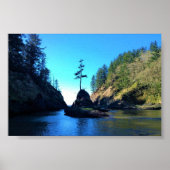 Dead Man's Cove, Cape Missed, WA ポスター (正面)