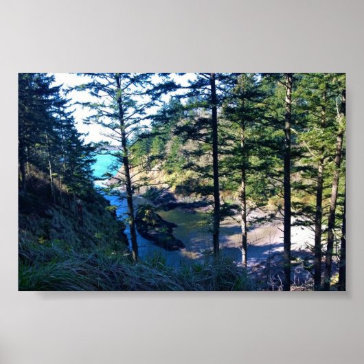 Dead Man's Cove, Cape Missed, WA ポスター (正面)