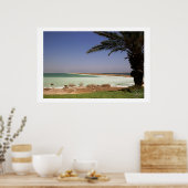 Dead Sea ポスター (キッチン)