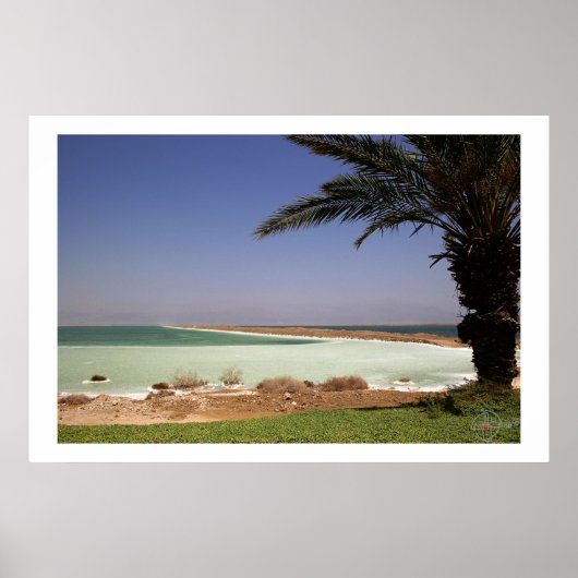 Dead Sea ポスター (正面)