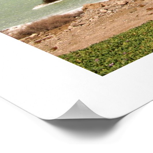 Dead Sea ポスター (角)