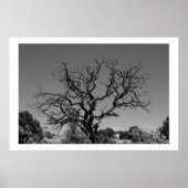 Dead Tree ポスター (正面)