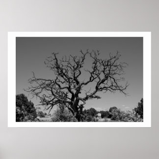 Dead Tree ポスター
