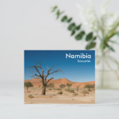 Dead Tree at Sossusvleiポストカード(文字) ポストカード (スタンド正面)