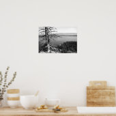 Dead tree, Jenny Lake, Grand Teton, Wyoming ポスター (キッチン)