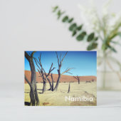 Dead Vlei、ナミビアはがき ポストカード (スタンド正面)