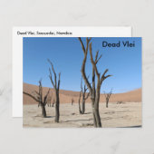 Dead Vlei、ナミビアはがき ポストカード (正面/裏面)