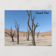 Dead Vlei、ナミビアはがき