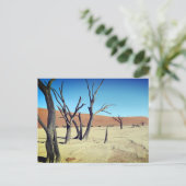 Dead Vlei、ナミビアはがき ポストカード (スタンド正面)