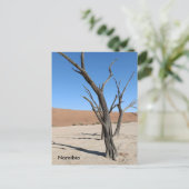 Dead Vlei、ナミビアはがき ポストカード (スタンド正面)