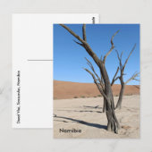 Dead Vlei、ナミビアはがき ポストカード (正面/裏面)